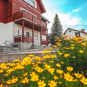 hotel-willa-odkrywcow.szklarskaporebahotels.net/